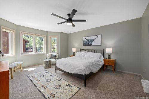 21 Saw Whiskers Cir, Montezuma CO  80435-7903 exterior