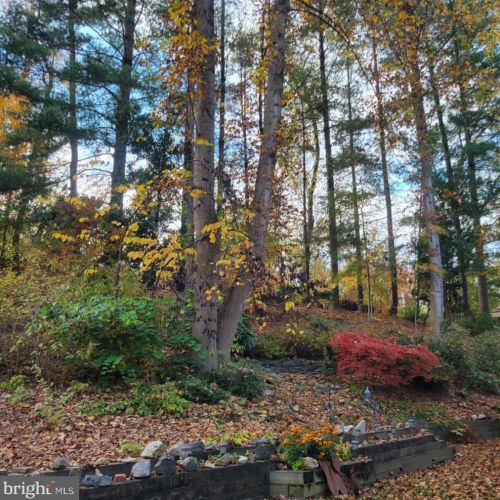 7099 Game Lord Dr, Springfield VA  22153-1312 exterior