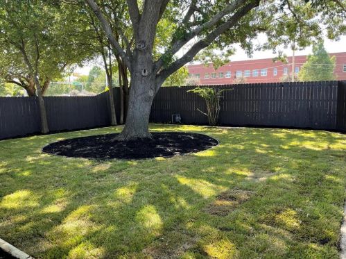 2616 Kimberly Ct, Plano TX  75075-6445 exterior
