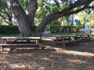 151 Pasa Robles Ave, Los Altos CA  94022-1238 exterior