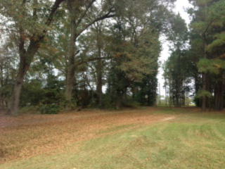 290 Wilder Rd, Moultrie, GA 31788-1476