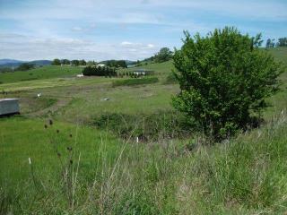 462 Darley Dr, Roseburg, OR 97471-8235