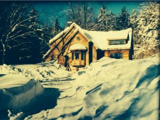 170 Frog City Rd, Plymouth VT  05056-9463 exterior