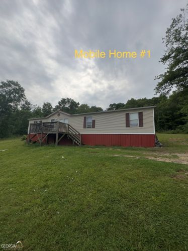 156 Sawtooth Pl, Carnesville, GA 30521-1736