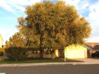 5103 Cleveland Ln, Pasco, WA 99301-8422