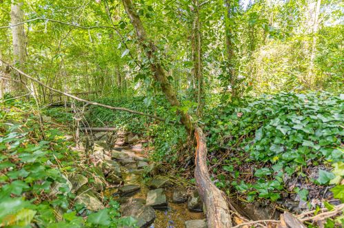 2031 Abby Ln, Atlanta GA  30345-3514 exterior