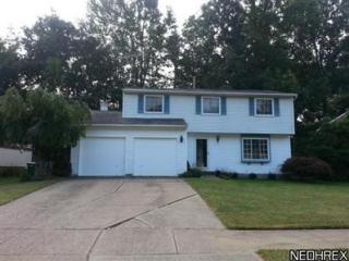 480 Trailwood Dr, Concord Township, OH 44077-2806