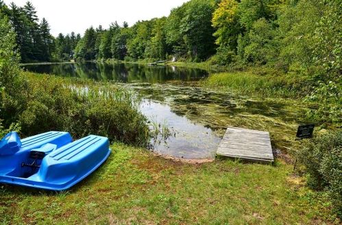 49 Little Shore Dr, Madison, NH 03849-5514