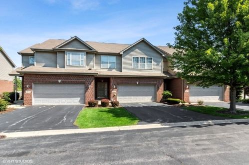 6813 White Egret Ct, Tinley Park, IL 60477-3973