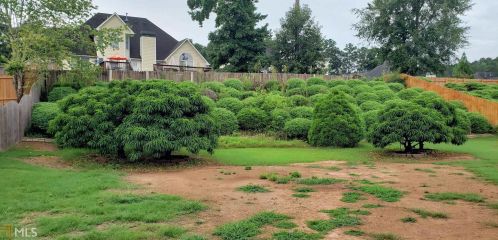 224 Memory Ln, Stockbridge GA  30281-6294 exterior