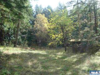 25 Neal Ln, Diamond Point, WA 98382-8606
