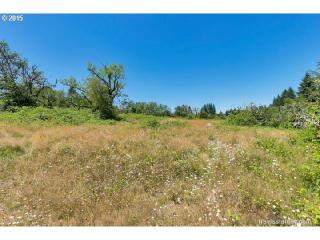 16600 Tong Rd, Happy Valley, OR 97089-8878
