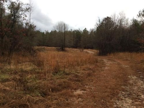 1349 Stoney Grove Church Rd, Norris, GA 30828-3766
