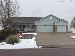 11288 Tottenham Ct, Amo, CO 80831-8166