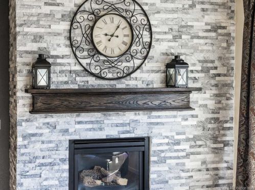 284 Sakata St, Denver CO  80601-4625 exterior