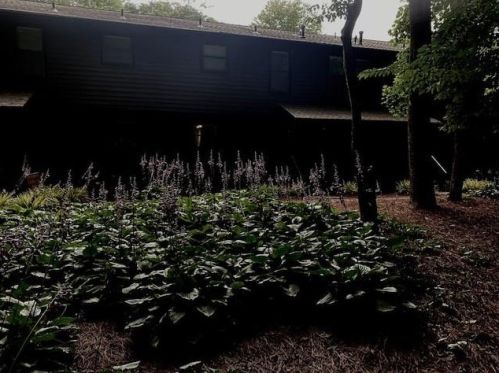 639 Riverside Dr, Ellijay, GA 30540-8161