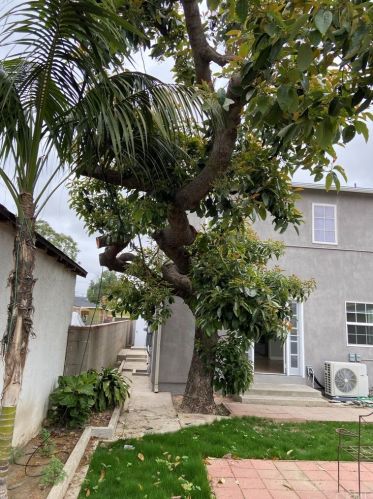 11408 Bradhurst St, Whittier CA  90606-1943 exterior