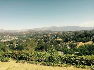 4351 Palmero Dr, Los Angeles CA  90065-4236 exterior