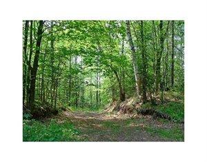 1847 Hodgeville Rd, Rincon, GA 31326-4817