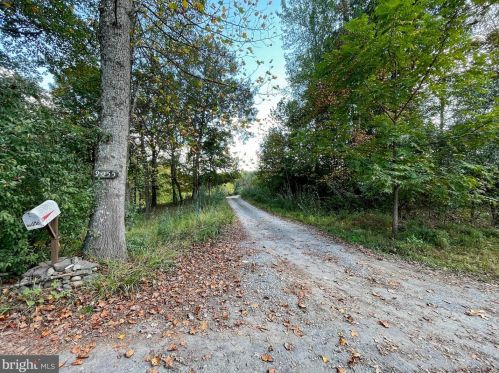 9055 Old Stillhouse Rd, Rixeyville, VA 22737-2053