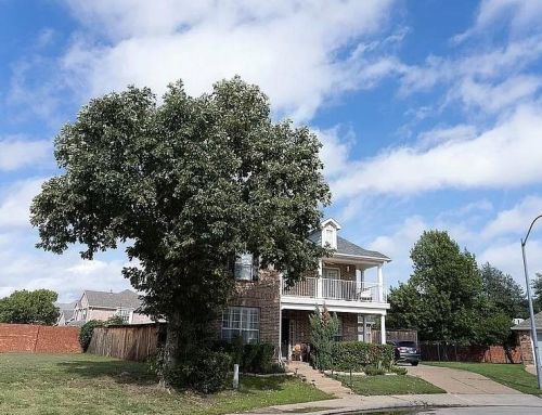 451 Richmond St, Irving, TX 75063-8033