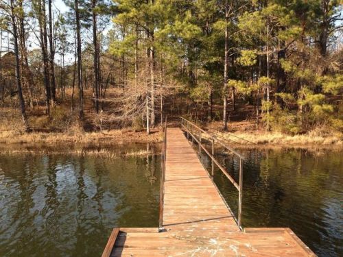 19 Hidden Lagoon Dr, Fort Gaines, GA 39851-2432