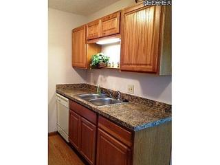 6241 Cambridge Park Dr, Concord Township OH  44060-2426 exterior