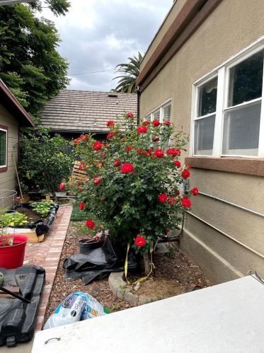 5625 Magnolia Ave, Riverside CA  92506-1822 exterior