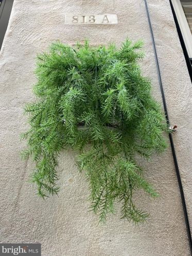 813 Kater St, Philadelphia, PA 19147-2012