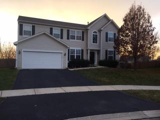 139 Commonwealth Dr, Lemont IL  60440-1665 exterior
