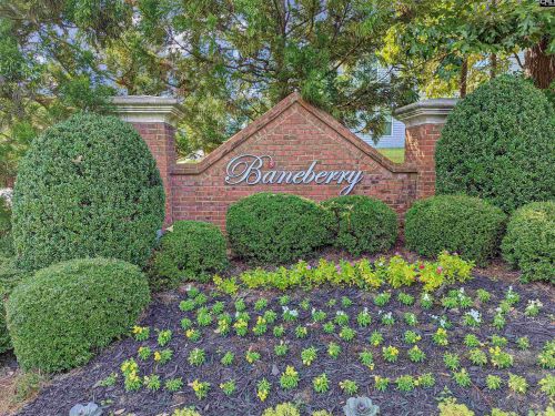 127 Baneberry Dr, Lexington, SC 29073-6865