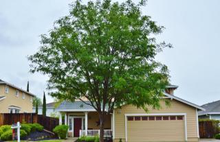 6930 Ridge Ct, Livermore, CA 94551-8712