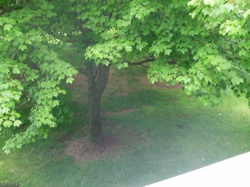 3 Sycamore Ln, Dover NJ  07869-3704 exterior