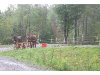 2053 Brook Rd, Corinth VT  05039-9724 exterior