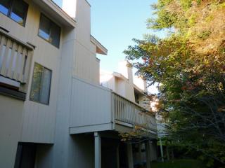 27 Clover Hill Rd, Peru, VT 05152-4744