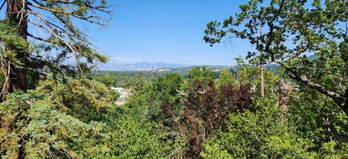 33 Clifton Ave, Los Gatos, CA 95030-6805