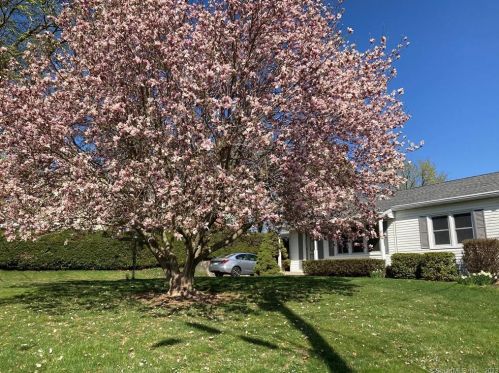 30 Lorraine Ter, Middletown, CT 06457-2335