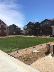 5470 Xenia St, Denver CO  80238 exterior