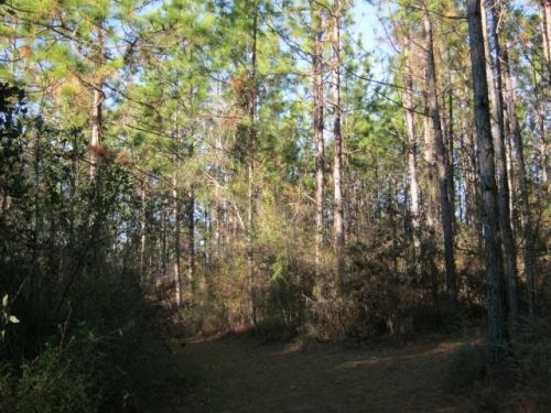 1 Zora Ln, Crossroads, MS 39470