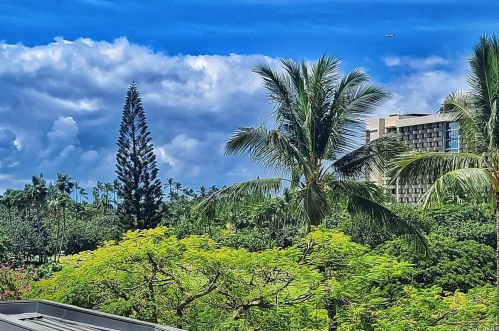 2045 Kalakaua Ave, Honolulu HI  96815-5118 exterior