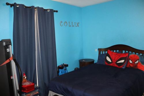 706 Kristi Ln, Cedar Hill TX 75104-2809 exterior