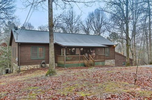 54 Nexus Dr, Ellijay, GA 30540-6467