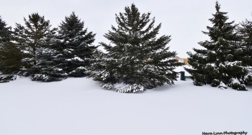 967 Kelly Ln, Sycamore IL  60178-9509 exterior