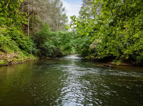 96 River Rd, Ellijay, GA 30540-0053