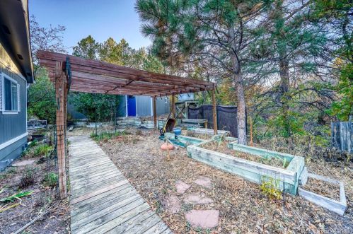 588 Coronado Dr, Deckers CO 80135-8316 exterior