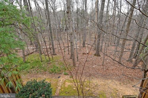 7833 Painted Daisy Dr, Springfield VA  22152-3850 exterior