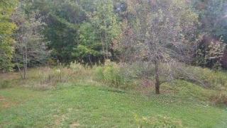 287 Mountain Lake Dr, Big Canoe, GA 30143-6015