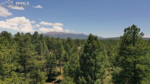 527 Golden Bell Ln, Divide, CO 80814-7906