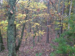 65 Talley Cove Rd, Big Canoe, GA 30143-4850