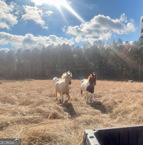 1045 Lyerly Dam Rd, Lyerly, GA 30730-4000